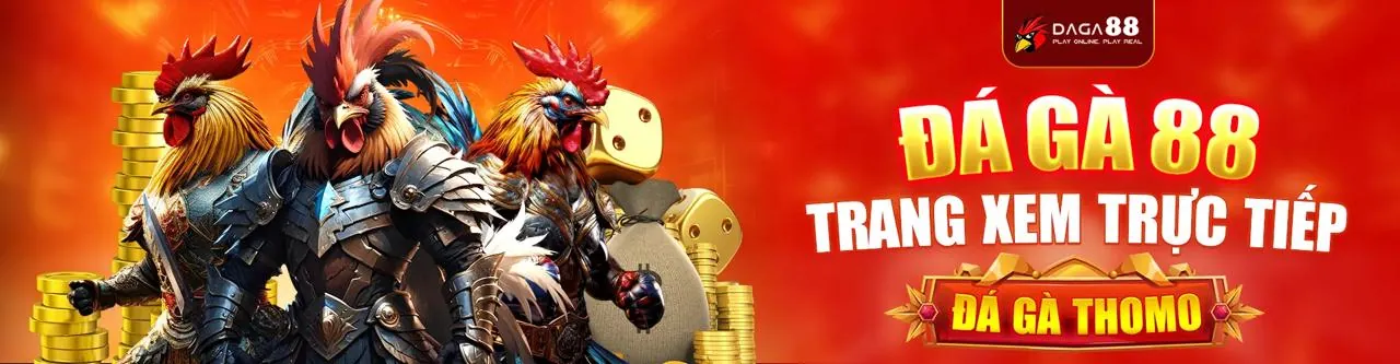Đá Gà Trực Tuyến Hấp Dẫn tại Vj999